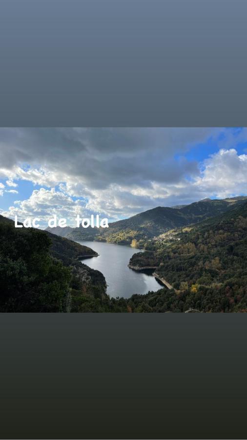 Magnifique Villa Recente Entre Mer Et Montagne Situee Entre Ajaccio Et Porticcio Cauro Zewnętrze zdjęcie